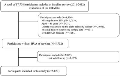 Sex-specific differences in the associations between adiposity indices and incident hyperuricemia among middle-aged and older adults: a nationwide longitudinal study